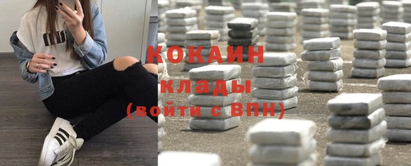 индика Иннополис