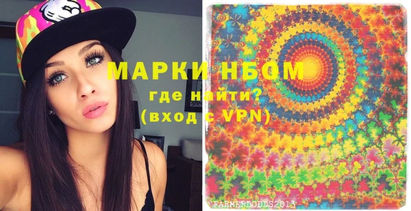 индика Иннополис