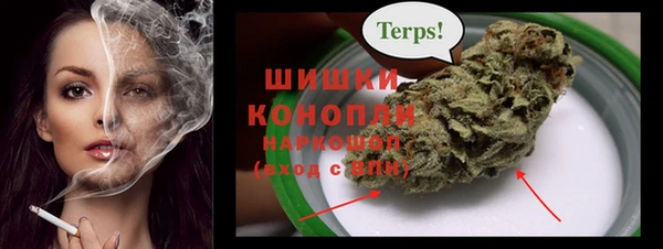 индика Иннополис