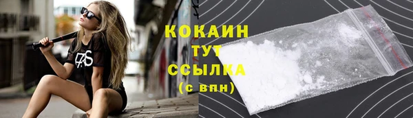 индика Иннополис