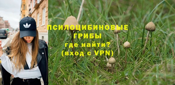 дживик Саяногорск