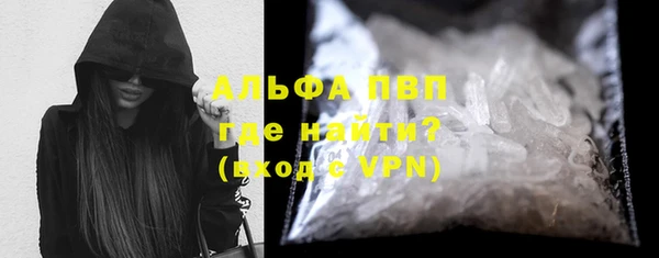 индика Иннополис